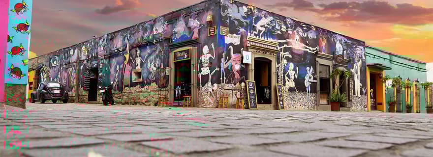 Oaxaca : visite guidée à pied « L'art de la mort ».