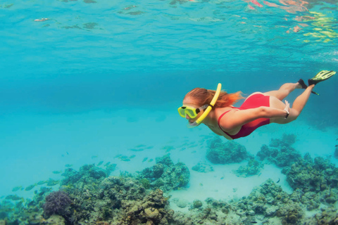 S'Arenal: Boat trip to Cabrera Island with a swim in the Blue Cave