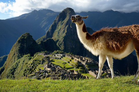 Endagstur till Machu Picchu från CuscoMachu Picchu dagsutflykt från Cusco