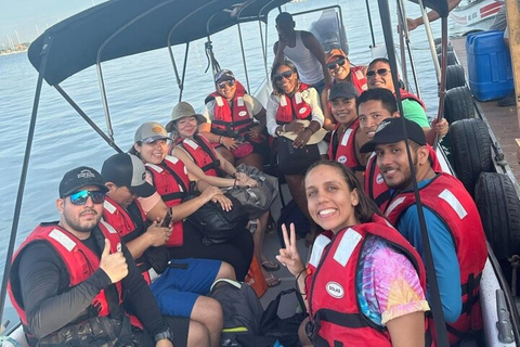 Panama City: Whale Watching Tour with Island Stop