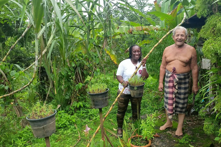 Programa de una noche en el Santuario Ético de Elefantes de Khao LakExcursión con punto de encuentro