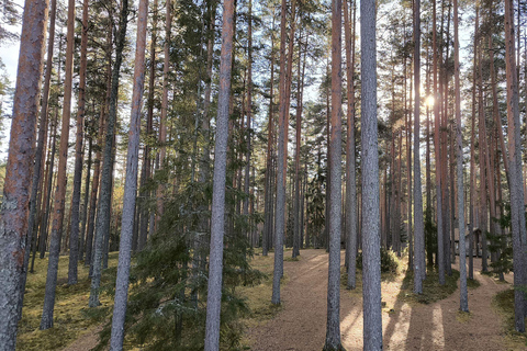 Forest Bathing & Mindfulness Nature Retreat from Tallinn