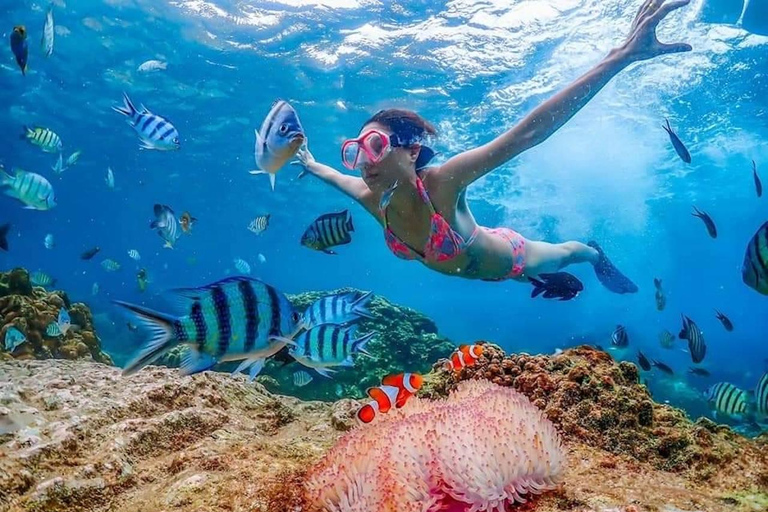 Pattaya: Coral Island Speedboat + 4-Activity Day Trip