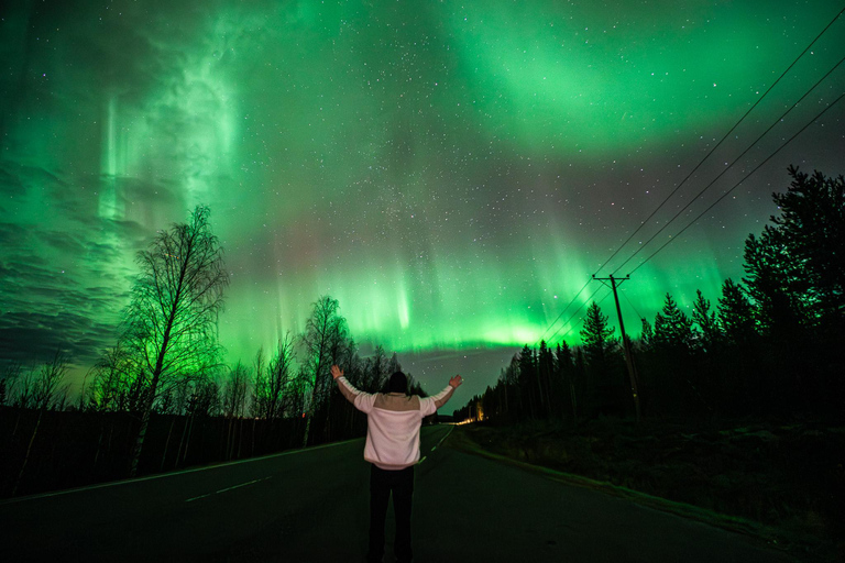 Rovaniemi: Northern Lights Tour – Guaranteed with Photos Small-Group Northern Lights Tour – Guaranteed with Photos