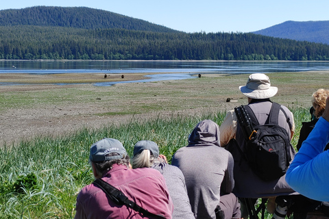 From Juneau: Pack Creek Bear Viewing Adventure Private Pack Creek Bear Viewing Adventure