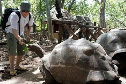 Zanzibar: Tur till Prison Island och Nakupenda SandbankPrivat tur med hotelltransfer och alla inträdesavgifter täckta