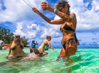 Pigs Beach & Turtle Encounter Group Tour - Housity