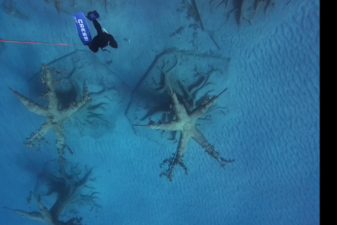 Ayia Napa: MUSAN Snorkeling Freediving Private Group Tour
