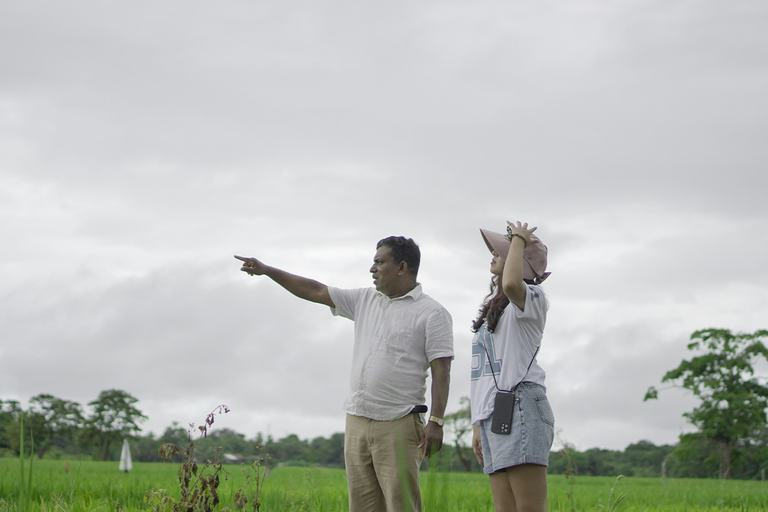 From Sigiriya: Sigiriya and Dambulla Day Tour Tour with mini van