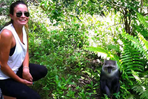 桑给巴尔：乔扎尼森林与香料农场之旅，含茶饮及接送服务桑给巴尔：乔扎尼森林与香料农场游，含茶饮及接送服务
