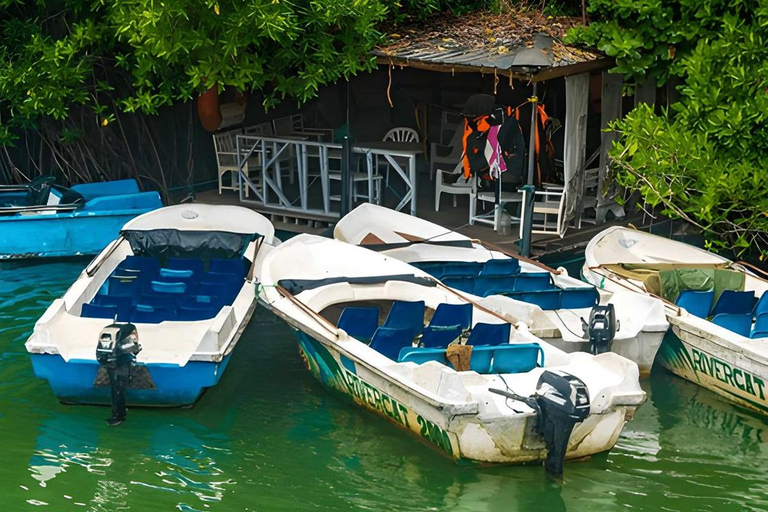 From Negombo: Private Transfer to Hiriketiya with Stops