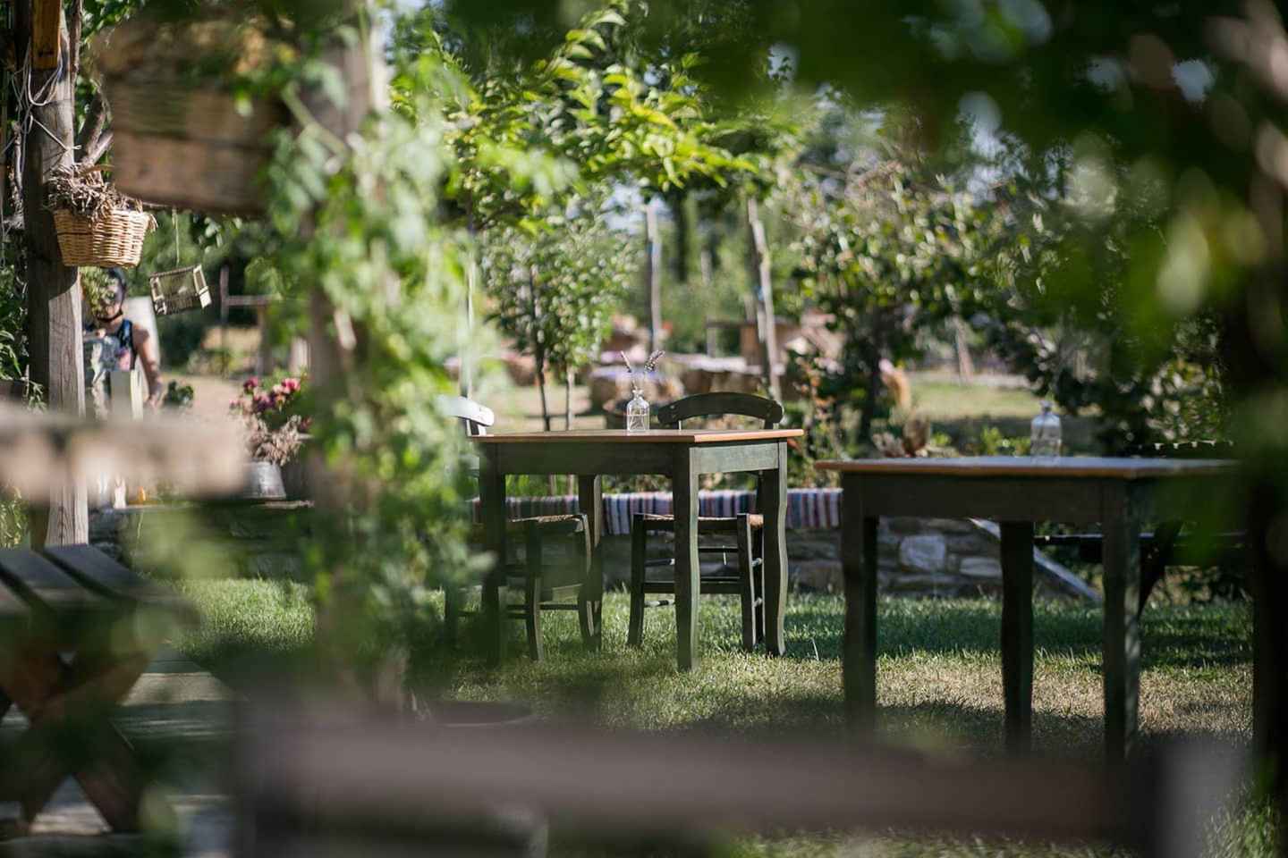 Pelion Private Nature Experience : Farm-to-Table Cooking