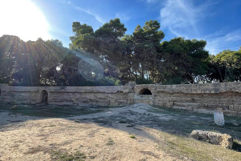 Tunis: Medina, Carthage, and Sidi Bou Saïd Tour