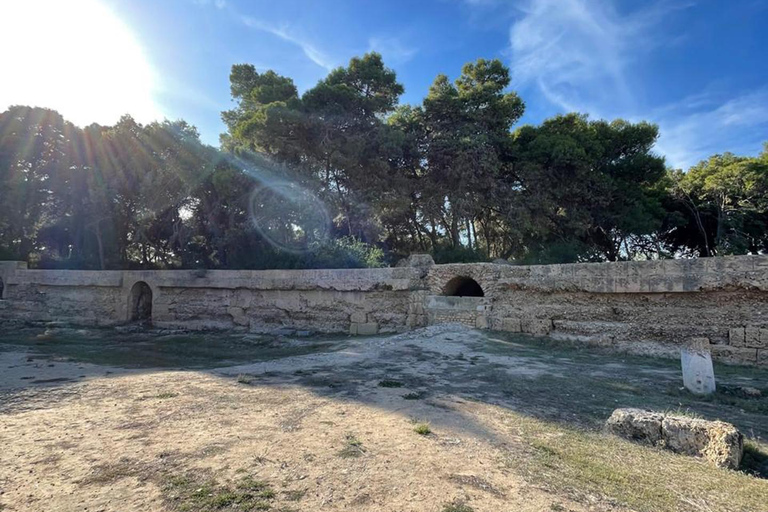 Tunis: Medina, Carthage, and Sidi Bou Saïd Tour