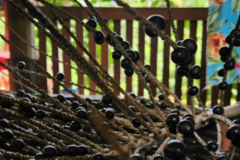 Belém: Guamá River Boat 3 Hours Tour with Optional Stops