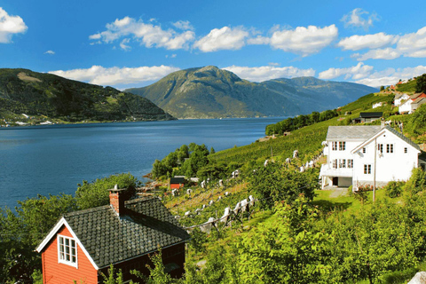 Wycieczka z przewodnikiem: Hardangerfjord, wodospady i przeprawa promem