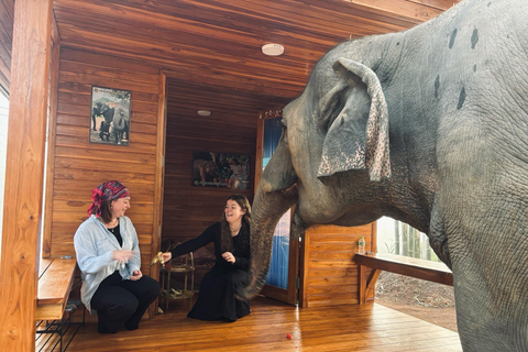 Chiang Mai 2-Day: Good Morning Elephant & Overnight Homestay