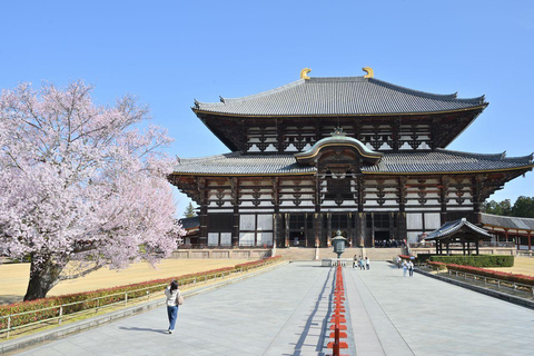 6-Day Osaka & Surroundings Tour