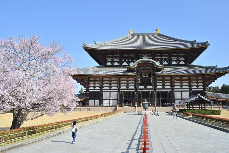 6-Day Osaka & Surroundings Tour
