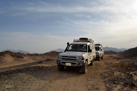 Hurghada: Fyrhjuling, buggy, jeepsafari, kamelridning och middagupphämtning från hotell i hurghada