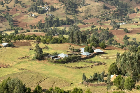 Addis Ababa: Mount Entoto Hike, Injera & Hyena Experience