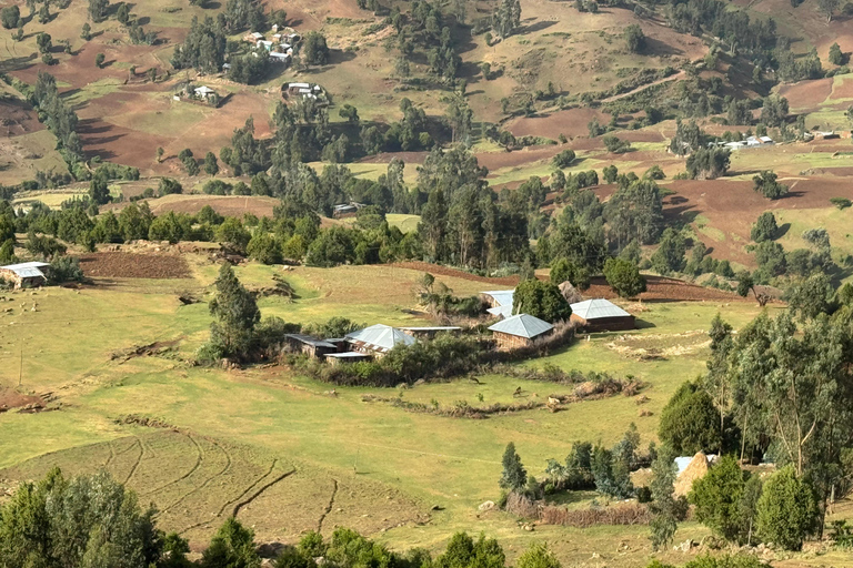 Addis Ababa: Mount Entoto Hike, Injera & Hyena Experience