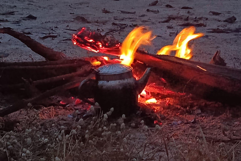 Saloum Delta: 3 days of adventure in the middle of nature, camping on a desert island Saloum Delta: Camping and Adventure