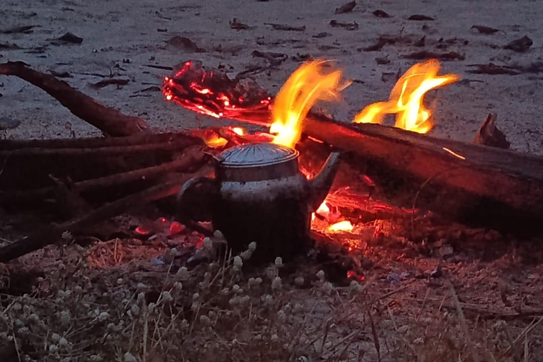 Saloum Delta: 3 days of adventure in the middle of nature, camping on a desert island Saloum Delta: Camping and Adventure