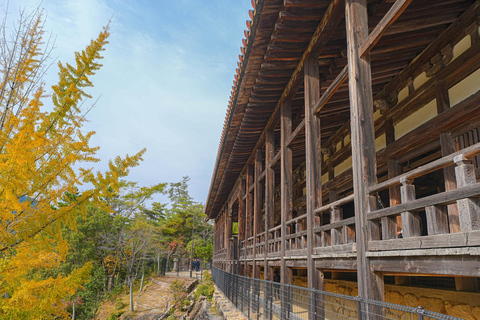 1-tägige Miyajima &amp; Iwakuni Tour: Ikonische japanische Landschaften