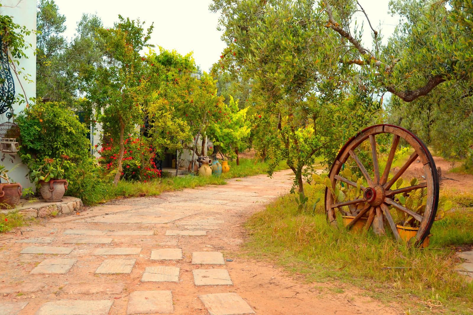 Mahdia: Ein Tag auf dem Land