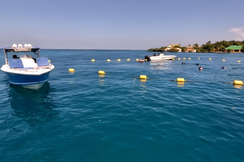 Cartagena: Excursion to the Rosario Islands and Playa Blanca with lunch