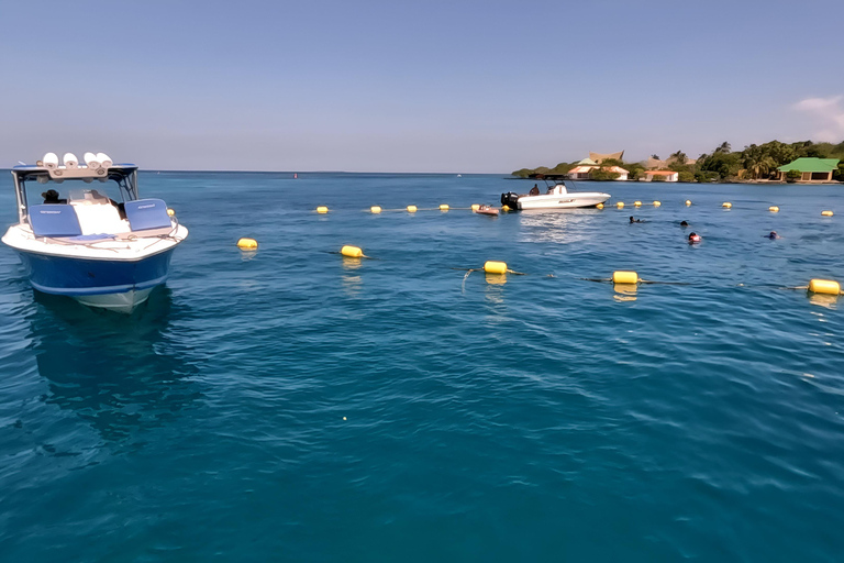 Cartagena: Excursion to the Rosario Islands and Playa Blanca with lunch