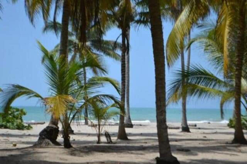 SANTAMARTA: TOUR Buritaca, Rio Y Mar. Van, Frühstück und Mittagessen inklusive.SANTAMARTA: TOUR Buritaca, Fluss und Meer. Van, Frühstück und Mittagessen inbegriffen.