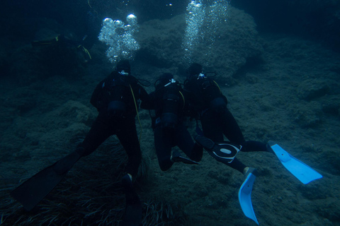 Corfu: Scuba Diving and Snorkeling from a Boat Let's go scuba diving!