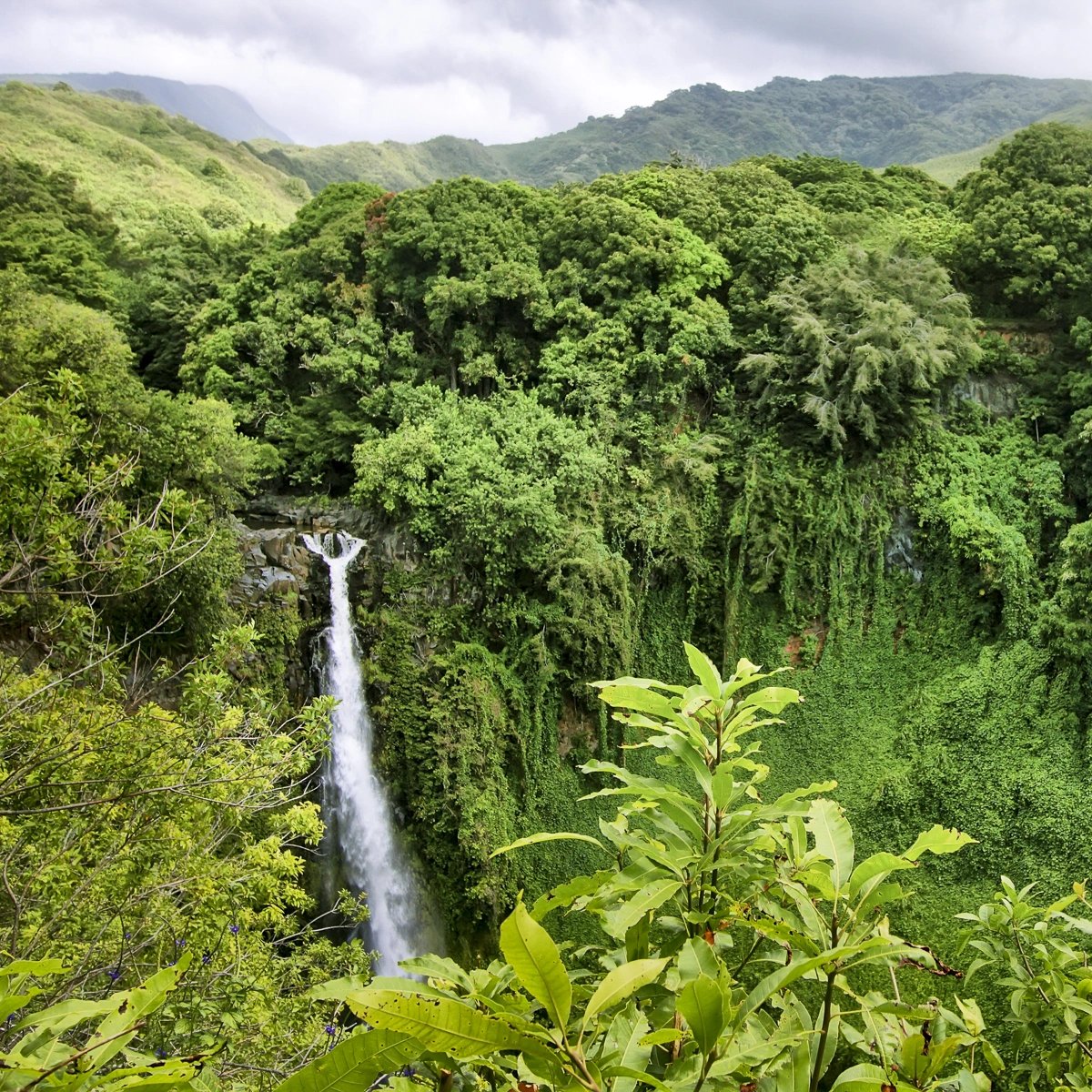 Aerial view of Maui’s waterfalls and green valleys from a helicopter.