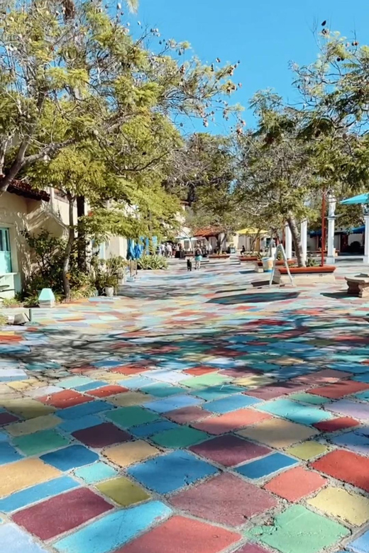 Watch a local share a one-day itinerary in San Diego
