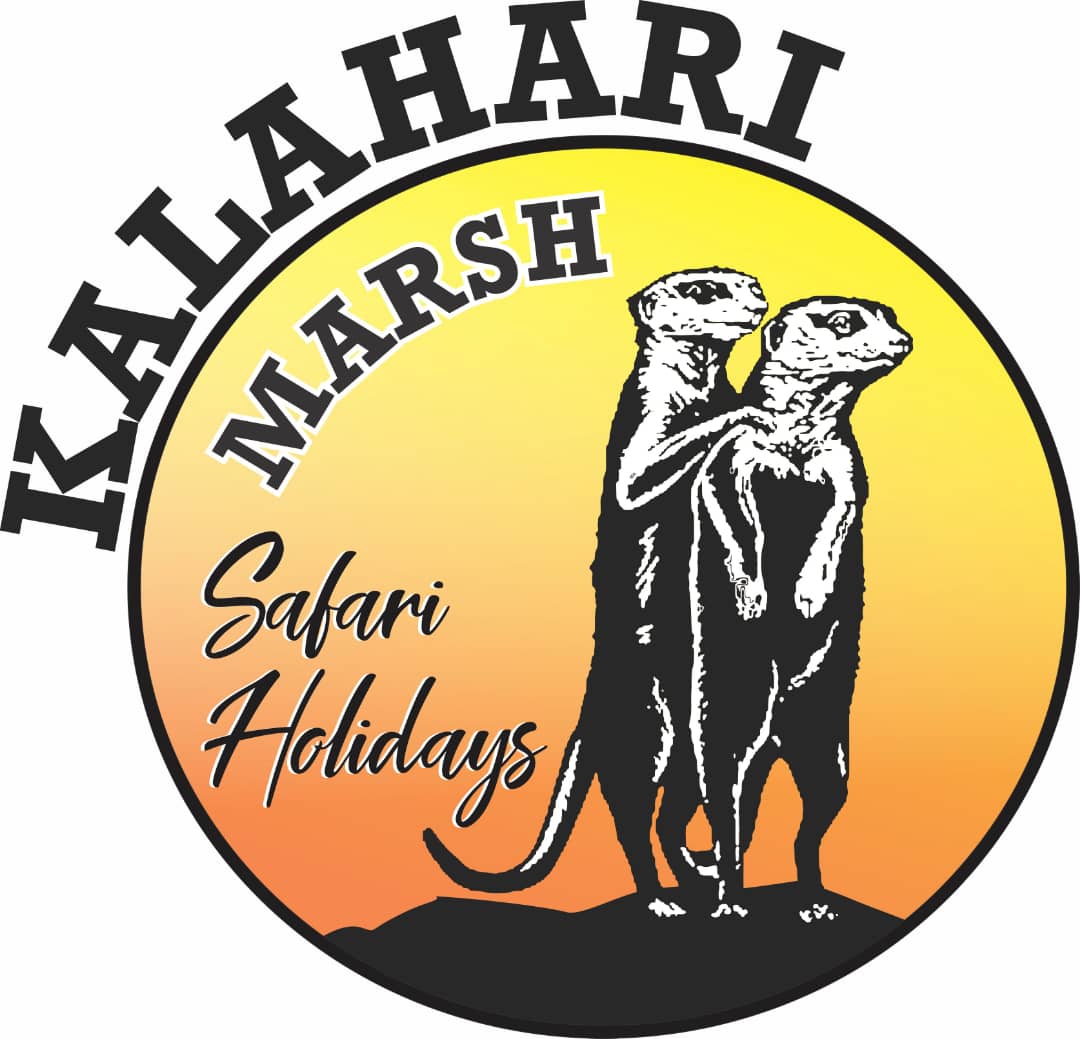 kalahari-marsh-safari-holidays-getyourguide-anbieter