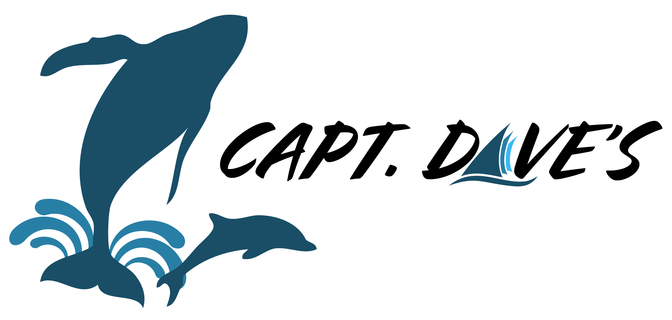 Captain Dave's Dolphin & Whale Safari 