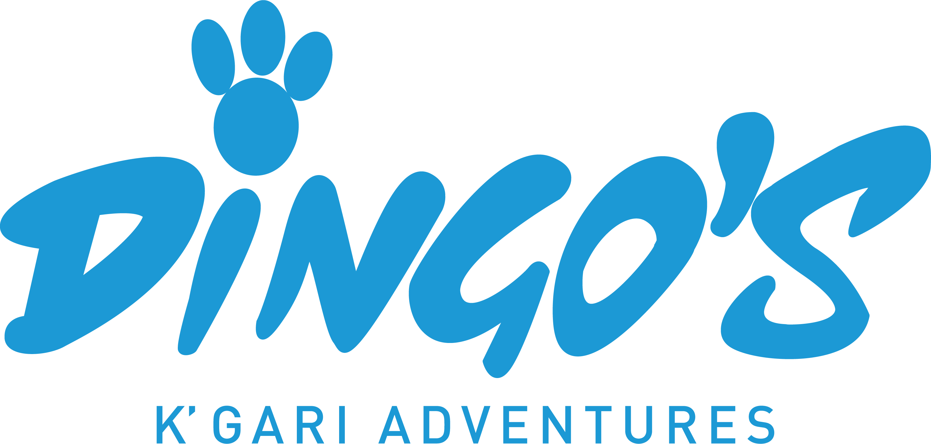Dingo's K'gari Adventures | GetYourGuide Supplier