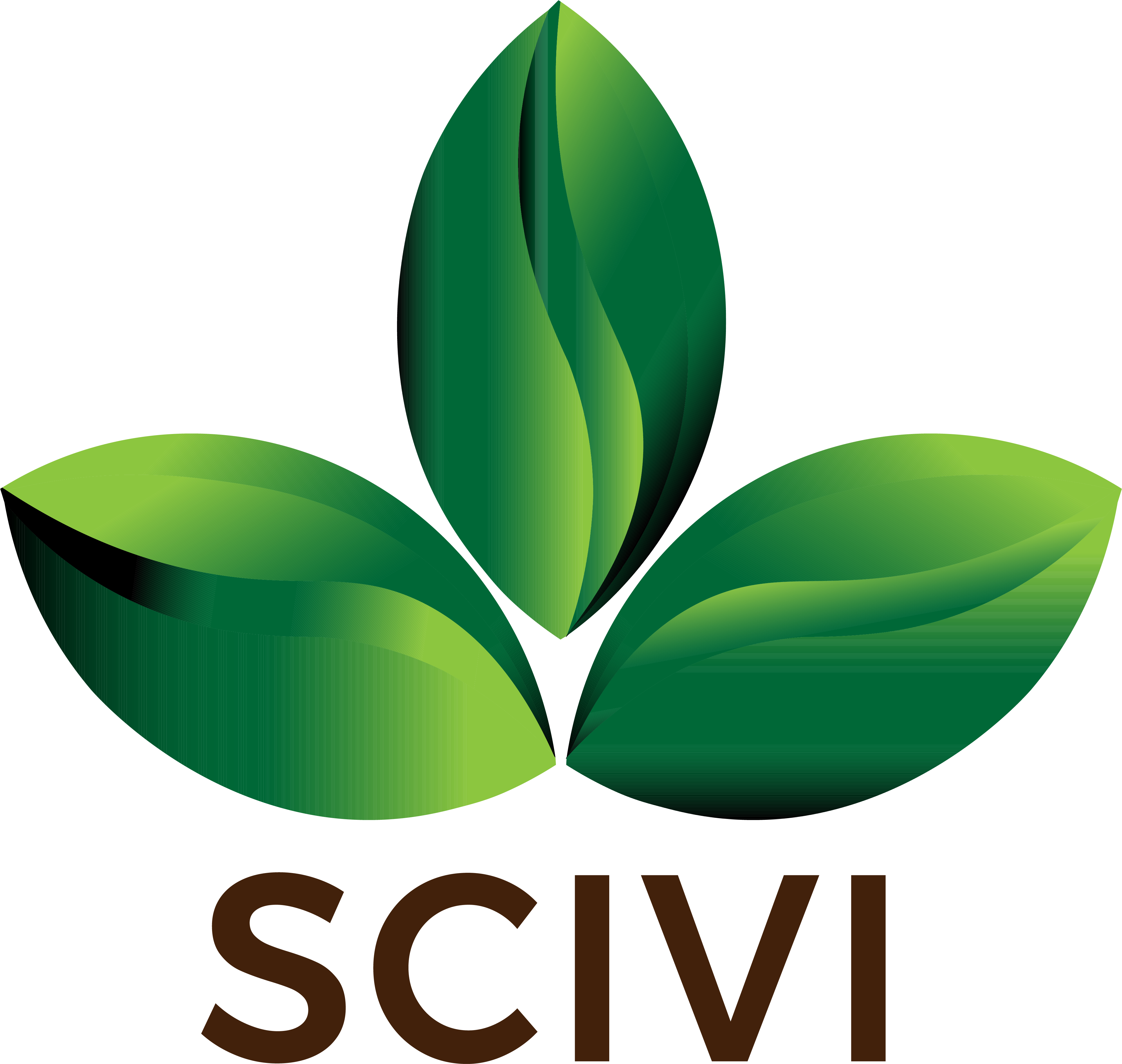 scivi-company-limited-getyourguide-supplier