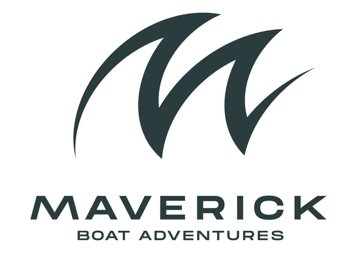 maverick boats logo