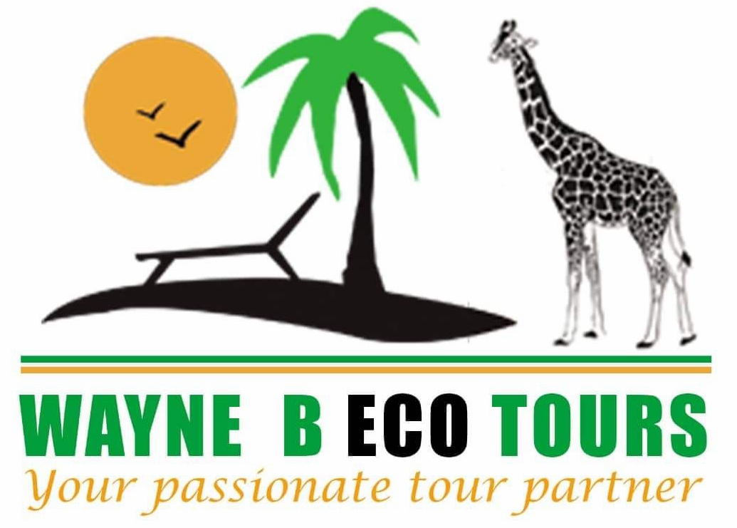 WAYNE B ECO TOURS | GetYourGuide Supplier