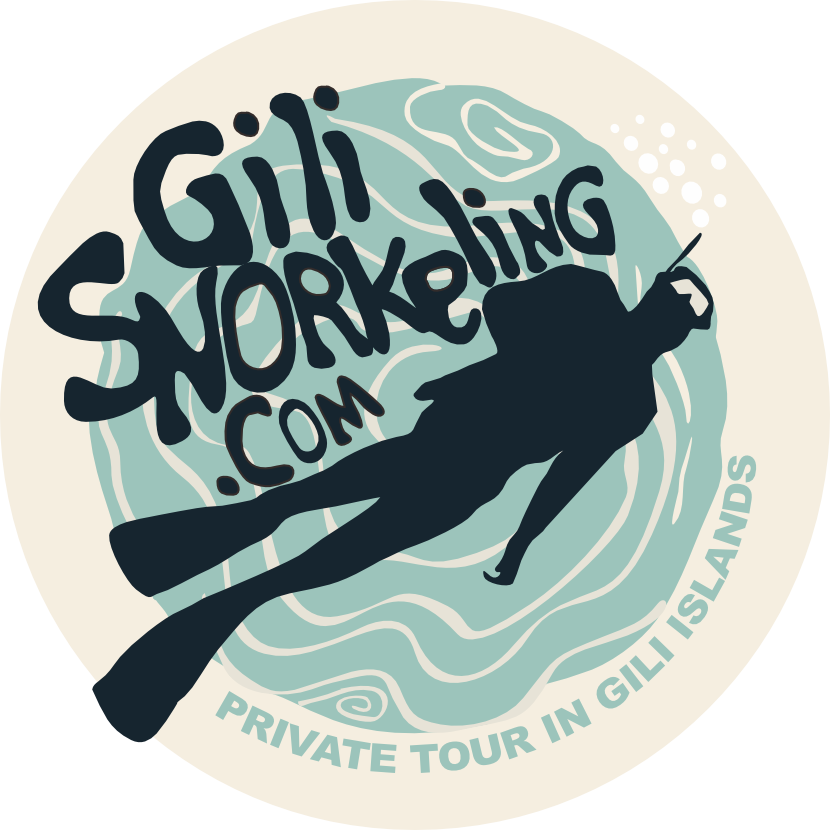 Gili snorkeling | GetYourGuide Supplier