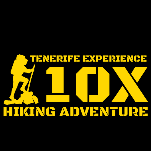 10X. Tenerife eXperience | GetYourGuide-aanbieder