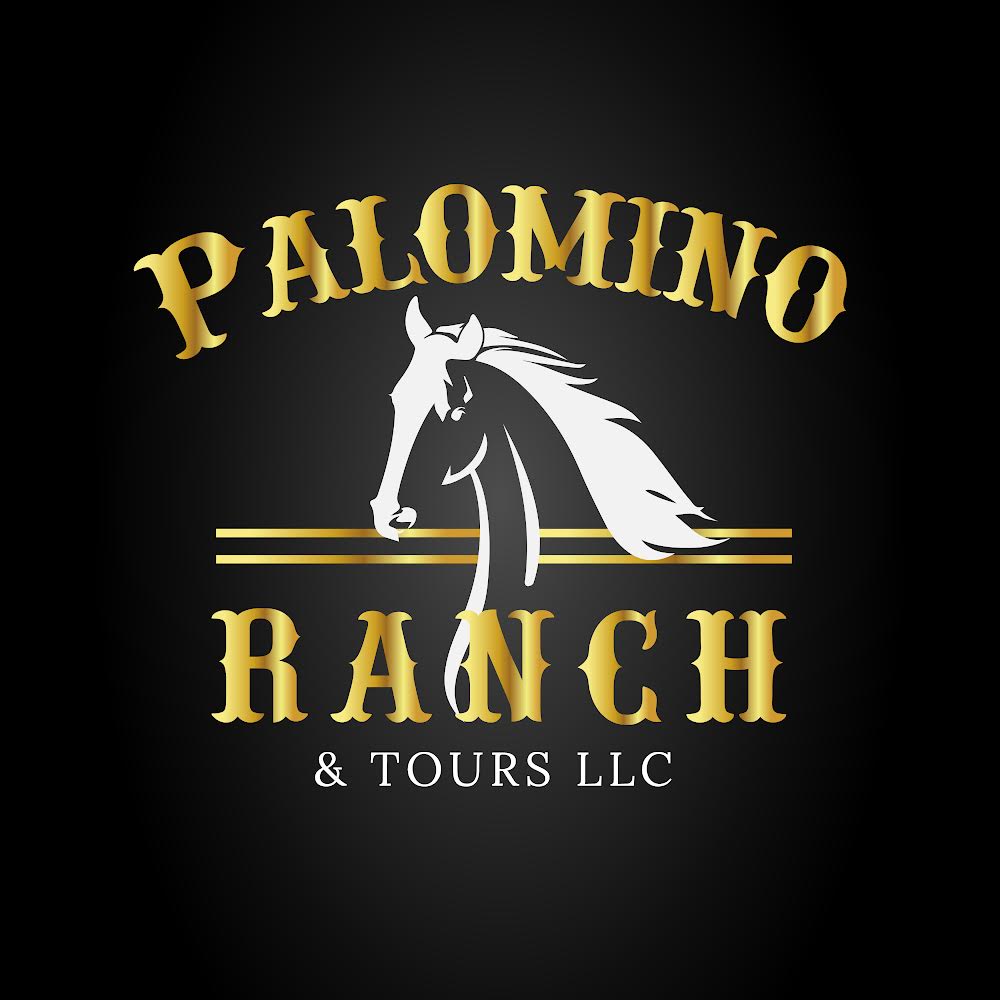 Palomino Ranch & Tours | GetYourGuide Supplier