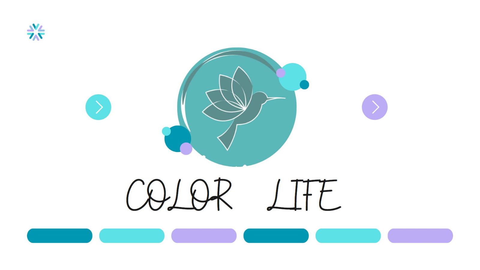 Color Life | GetYourGuide Supplier