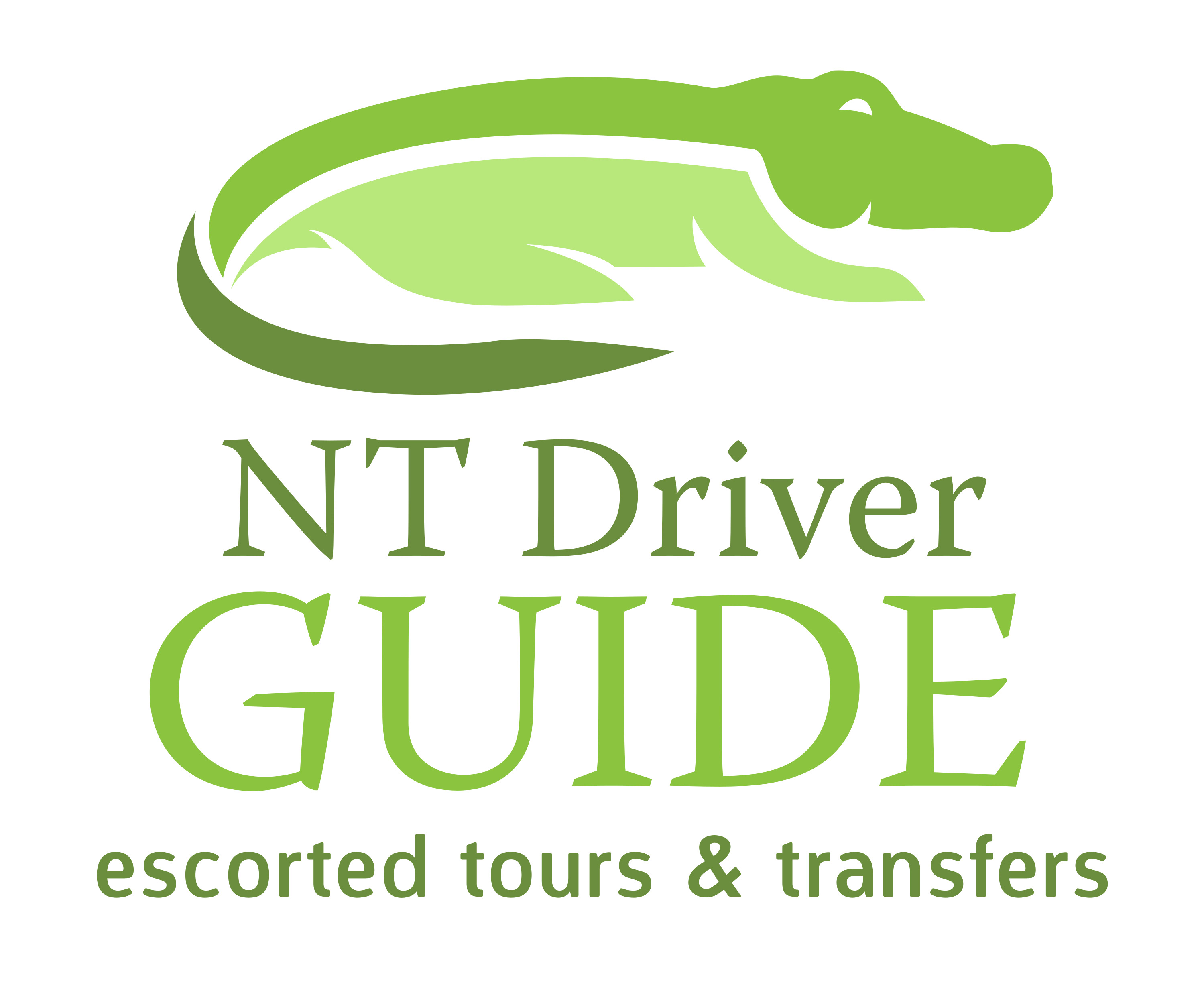 Nt Driver Guide Escorted Tours Getyourguide 공급업체