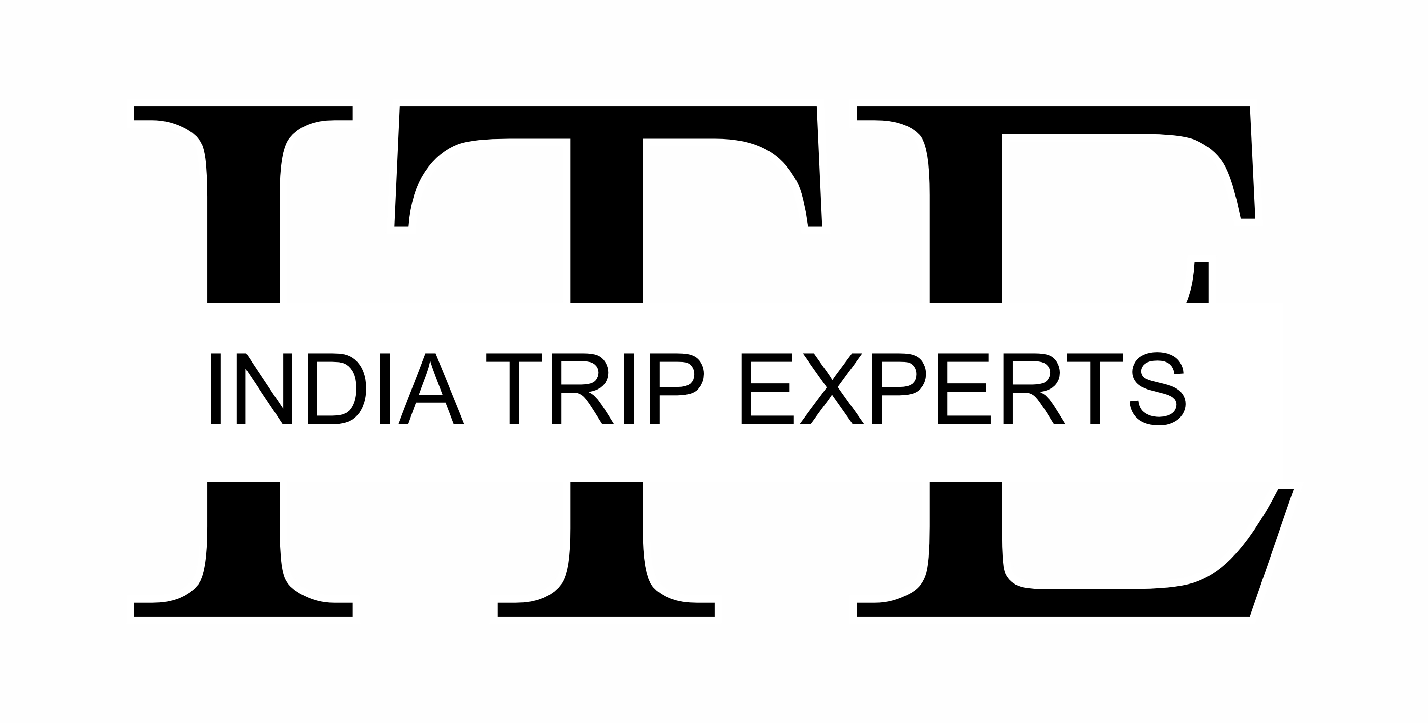 INDIA TRIP EXPERTS GetYourGuide Supplier