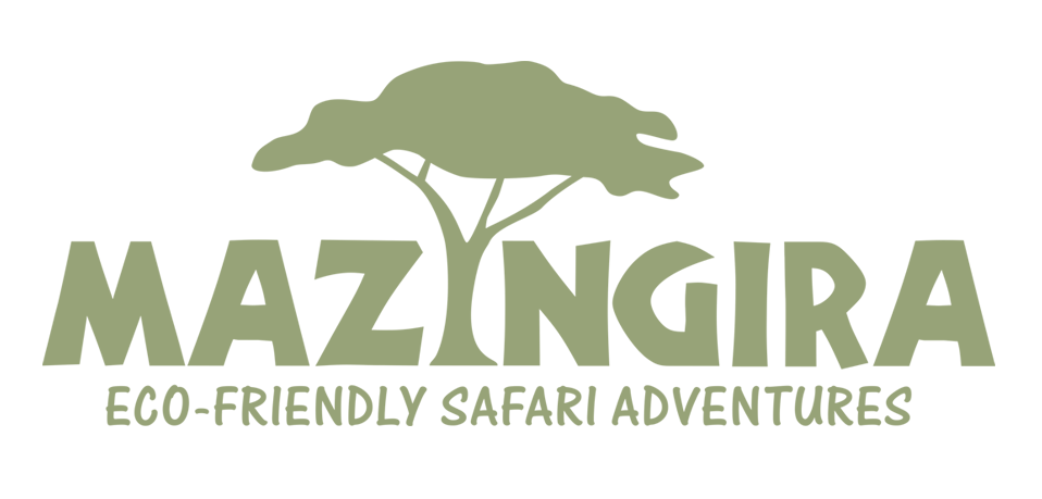 mazingira eco friendly safari adventure