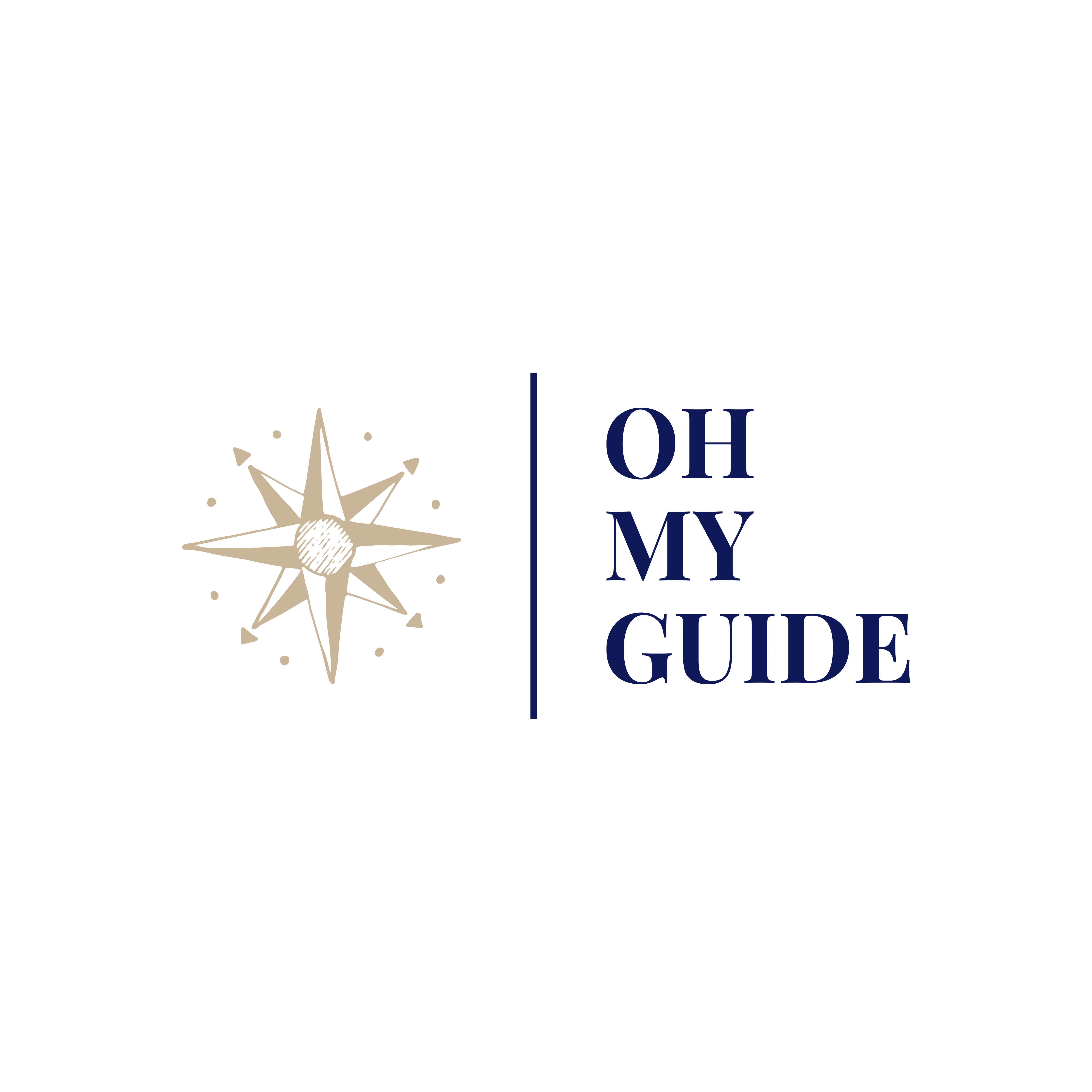 Oh My Guide Fournisseur Getyourguide